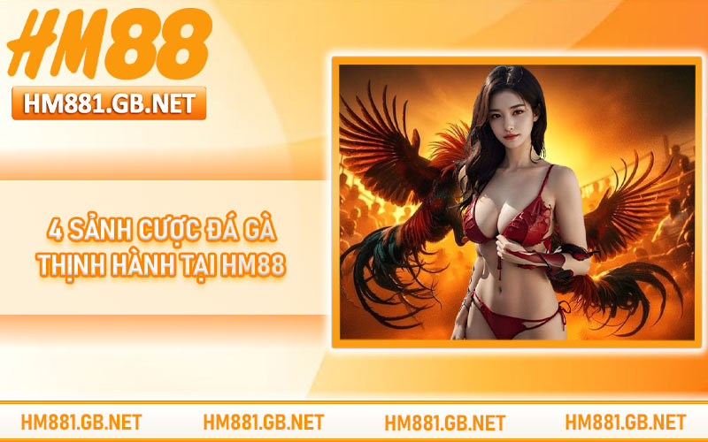 4 sảnh cược đá gà thịnh hành tại HM88
