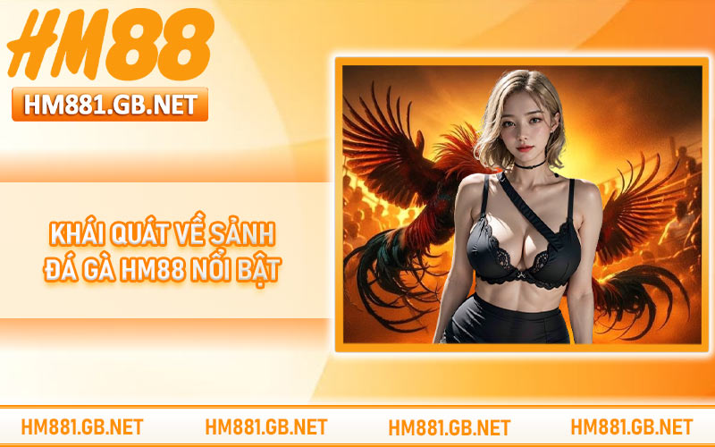 Khái quát về sảnh đá gà HM88 nổi bật