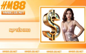 Nạp Tiền HM88