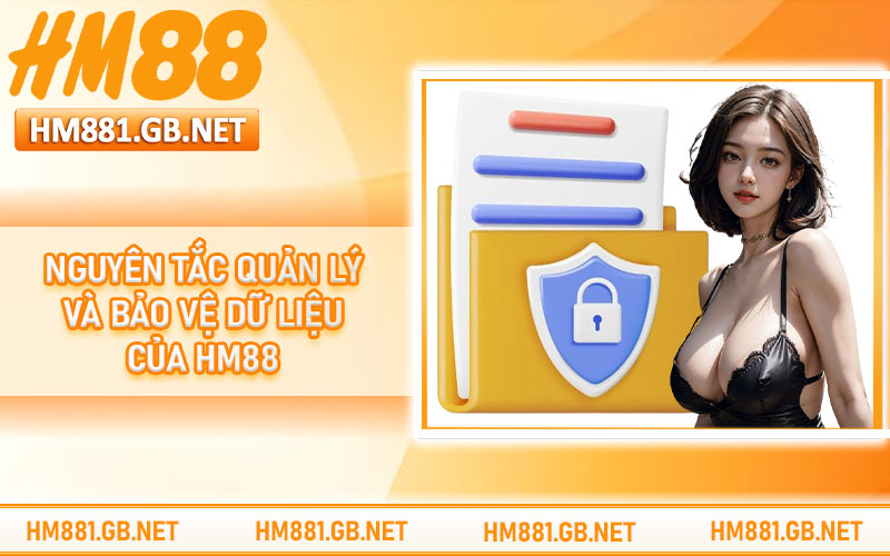 Nguyên tắc quản lý và bảo vệ dữ liệu của HM88