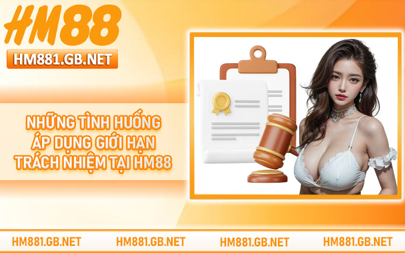 Những tình huống áp dụng giới hạn trách nhiệm tại HM88