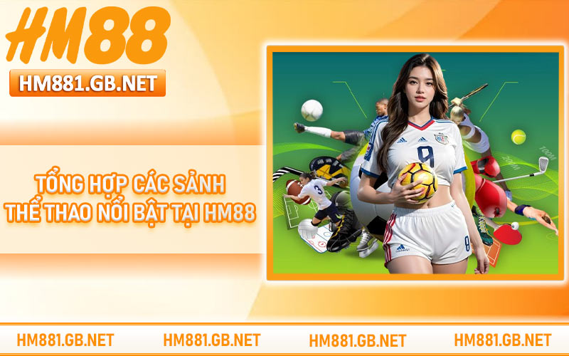 Tổng hợp các sảnh thể thao nổi bật tại HM88