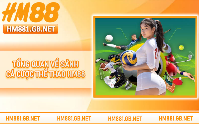Tổng quan về sảnh cá cược thể thao HM88