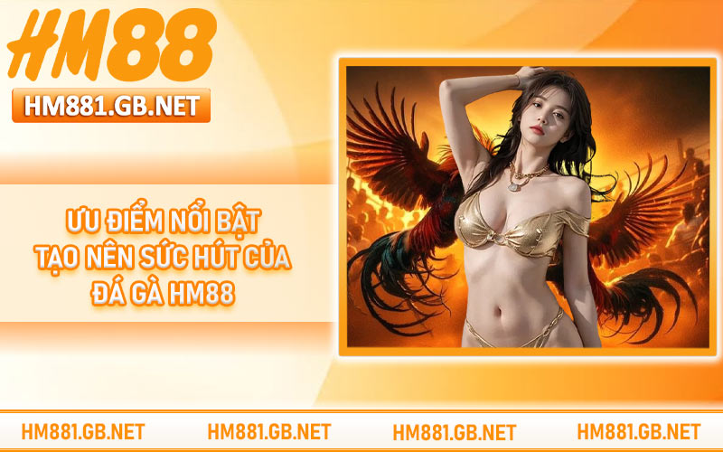 Ưu điểm nổi bật tạo nên sức hút của đá gà HM88